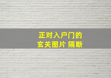 正对入户门的玄关图片 隔断